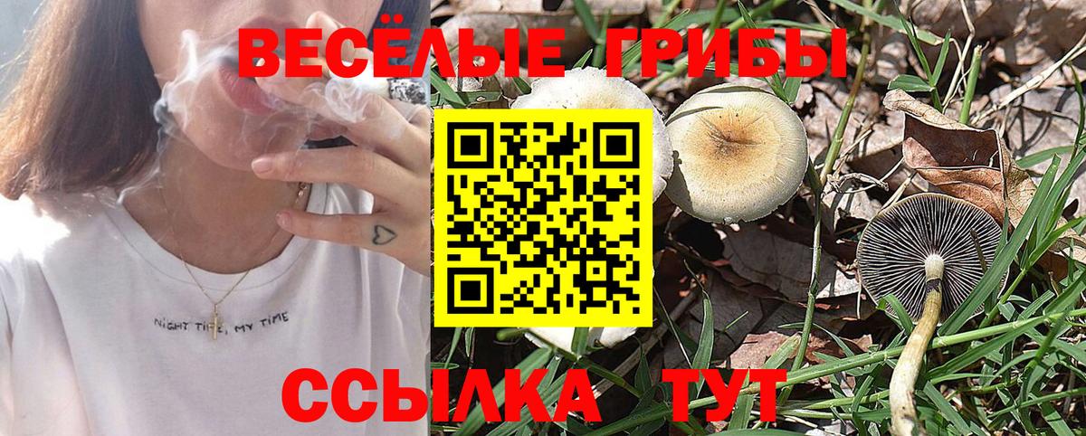 Псилоцибиновые грибы Magic Shrooms Тайшет