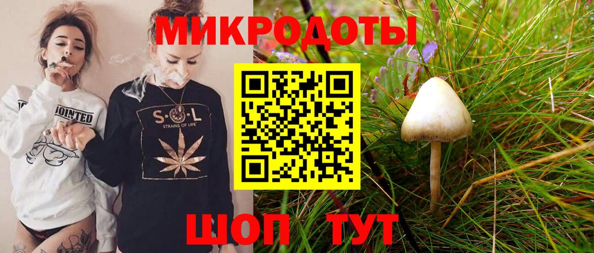 Тайшет  Галлюциногенные грибы мухоморы  Вход с VPN 
